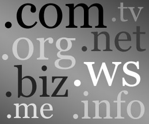 Whois search for TLDs, domain names and IPs