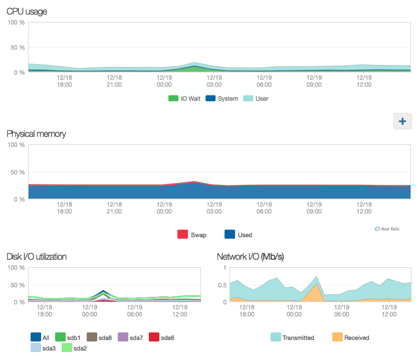 NewRelic server monitoring overview